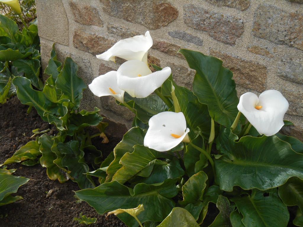 Domaine De Kervail Bed & Breakfast Quimperle Luaran gambar